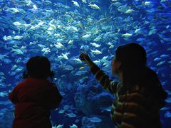 -成都浩海立方海洋公园