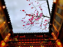 -丁里羊肉小镇(太宁路口店)