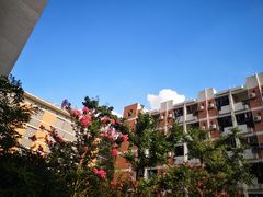 -四川大学(华西校区)