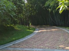 -玉树公园