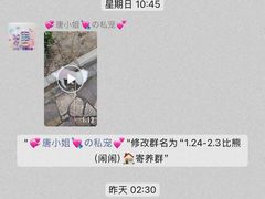 -唐小姐の猫狗洗护·购宠旗舰店(周浦万达店)