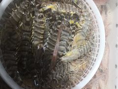 -77号渔船·蒸海鲜青岛菜(积米崖店)