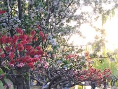 -元大都城垣遗址公园