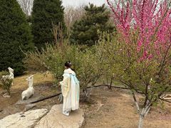 -燕郊植物园
