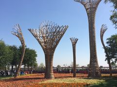 -武清南湖绿博园