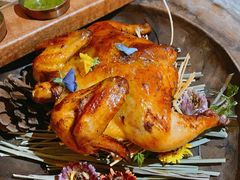 -Hi City·城市之巅