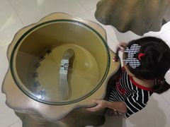 -上海昆虫博物馆