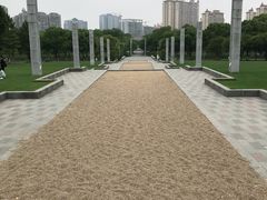 -暨阳湖生态园