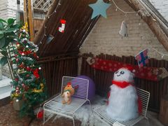 -大象厨房(重庆道店)