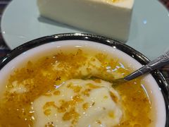 -古树酸奶(八廓南街店)