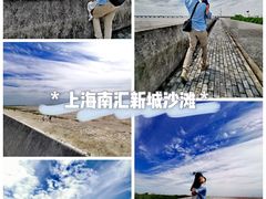-南汇新城海滩