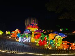 -大塘金香草谷