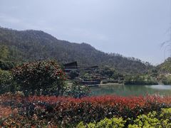 -桃花岭景区