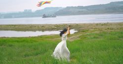 -金夫人婚纱摄影(惠阳店)