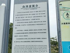 -白洋淀景区