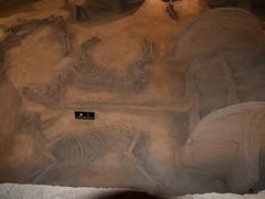 -洛阳周王城天子驾六博物馆