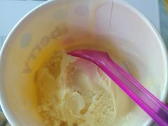 -莓园冰淇淋店