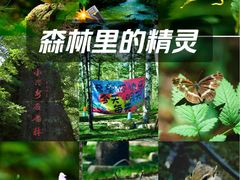 -汤旺河林海奇石景区