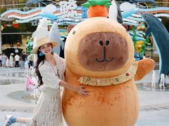 -海合安成都极地海洋公园