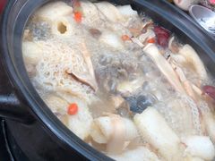 -蘑统田下·野生菌火锅
