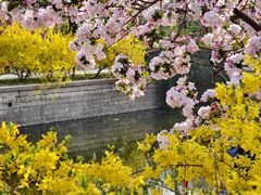 -海棠花溪(元大都城垣遗址公园)