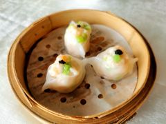 -南海渔村·空中一号