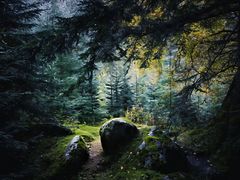 -芦芽山旅游度假区