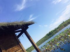 -溱湖国家湿地公园