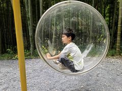-东明山森林公园