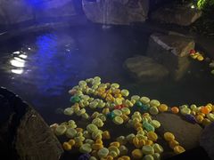 -溧阳天目湖天沐温泉