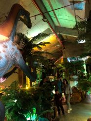 点击看大图 -恐龙探索乐园(磁器口店)