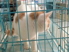 -宠颐生嘉德动物医院