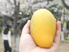 -堤角公园