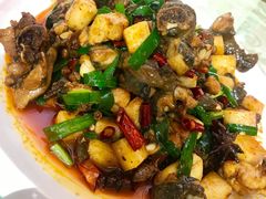 饵块鸡-红豆园(文林街店)
