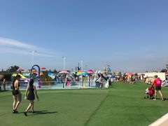 -秦皇岛乐岛海洋王国