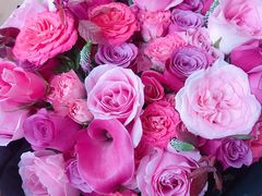 -植物学家的女儿(北马道巷店)