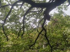-南京航空航天大学(明故宫校区)