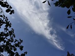 -秋霞圃