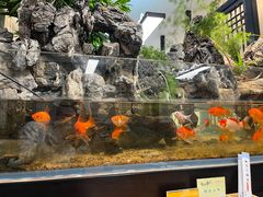 -舟小鲜·舟山小渔村(凤城四路中登广场店)