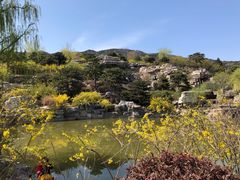 -北京西山国家森林公园