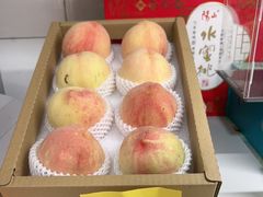 -老袁家蜜桃农场·阳山水蜜桃