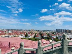 -上海东林寺(金山区)