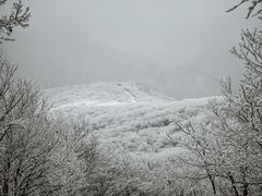 -安吉龙王山风景区