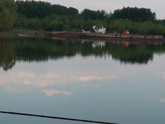 -东郊湿地公园