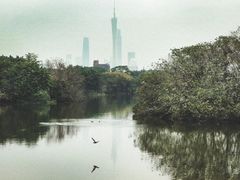 -海珠湖公园