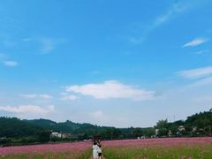 -红山村