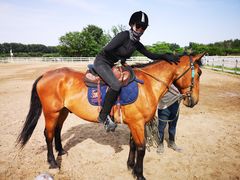 -月河湾马术俱乐部(朝阳店)