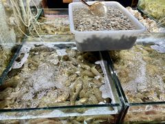 -九层海鲜塔(市南店)