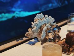 -迪拜帆船酒店海底餐厅