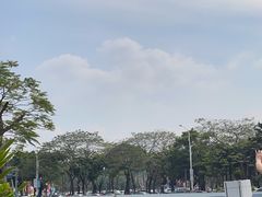 -顺峰山公园